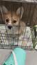 腆宠狗笼狗窝猫笼狗笼子中小型犬带厕所猫笼子大号家用室内狗围栏兔笼 实拍图