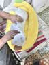 licheers猫狗窝冬季保暖小中大型犬四季通用宠物狗床猫窝睡觉垫子S码 实拍图