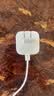 Apple/苹果 40W（至高60W） type-c快充充电器 苹果usb-c原装充电头 苹果iPhone 18 Pro Max充电器 实拍图