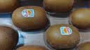 佳沛（zespri）新西兰 金奇异果特大果15粒134-146g猕猴桃水果礼盒 实拍图