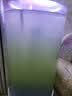 YEE鱼缸水族箱净水剂一滴清水质澄清剂稳定清澈净化剂650ml 实拍图