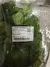 上海青约500g(油菜) 实拍图