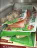 安井锁鲜装包心鱼丸 240g 鱼糜含量≥40% 火锅关东煮麻辣烫丸料食材 实拍图
