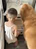 伯纳天纯中大型犬全价成年犬粮金毛宠物主粮羊肉蔓越莓15kg囤货装 实拍图