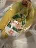 黄胖子进口香蕉650g 实拍图