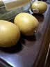 佳沛（zespri）新西兰金奇异果猕猴桃 5粒装 单果约88-103g 水果源头直发 实拍图