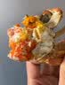 【活蟹】漁家师傅大闸蟹公4-4.3两母3-3.3两4对8只 去绳足重鲜活螃蟹生鲜礼盒金秋送礼 实拍图