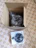 九阳（Joyoung）热水壶烧水壶电热水壶 2L速热304不锈钢一体无缝内胆 0胶水开水壶 K20FD-W182 实拍图