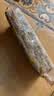 史丹利水苔150g 蝴蝶兰专用土干苔藓养兰花的营养土优质文石斛心兰乌龟 实拍图