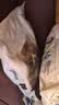 冠能猫粮成猫猫粮三文鱼味7kg 全价猫粮 稳固免疫 适口性强 实拍图