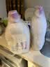 滴露（Dettol）衣物消毒液除菌薰衣草3L衣服消毒水99.9%杀菌除螨内裤 需搭洗衣液 实拍图