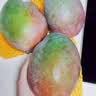 京鲜生 【自然熟】 凯特芒果 3斤尝鲜装 单果400g 生鲜水果 实拍图
