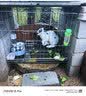 憨憨宠狗笼中小型犬狗笼子大猫笼带厕所加粗折叠宠物笼子柯基笼幼犬狗笼 加粗狗笼 银色 71*60*50cm 建议25斤内 带托盘式厕所+防卡脚垫片 实拍图