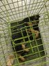 高悠派 狗狗牵引绳中大型犬背心式胸肩背带拉布拉多狗绳宠物通用 实拍图
