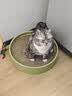 pidan猫砂 豆腐猫砂2.4kg*4包强力吸臭纯猫砂 可冲厕所非膨润土砂 实拍图