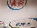 伊利 无菌枕纯牛奶240ml*16 开学学生礼物 实拍图