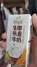 伊利【新鲜日期】谷粒多生椰燕麦牛奶200ml*12盒 礼盒装 实拍图