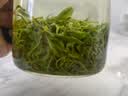 御恒春日照绿茶2026新茶春茶散装袋装茶叶特级浓香型板栗香特产绿茶 500g送赠品6选一 实拍图