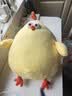 名创优品（MINISO）dundun鸡墩墩鸡玩偶抱枕小鸡公仔毛绒玩具娃娃靠枕生日礼物女 实拍图