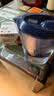 碧然德（BRITA）免安装过滤净水 滤水壶设计师系列 去垢力+50% 专家版滤芯 12枚装 实拍图