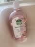 滴露（Dettol）衣物消毒液自然香氛洗衣除菌液除螨 48h留香1000ml*1灭活白念珠菌 实拍图