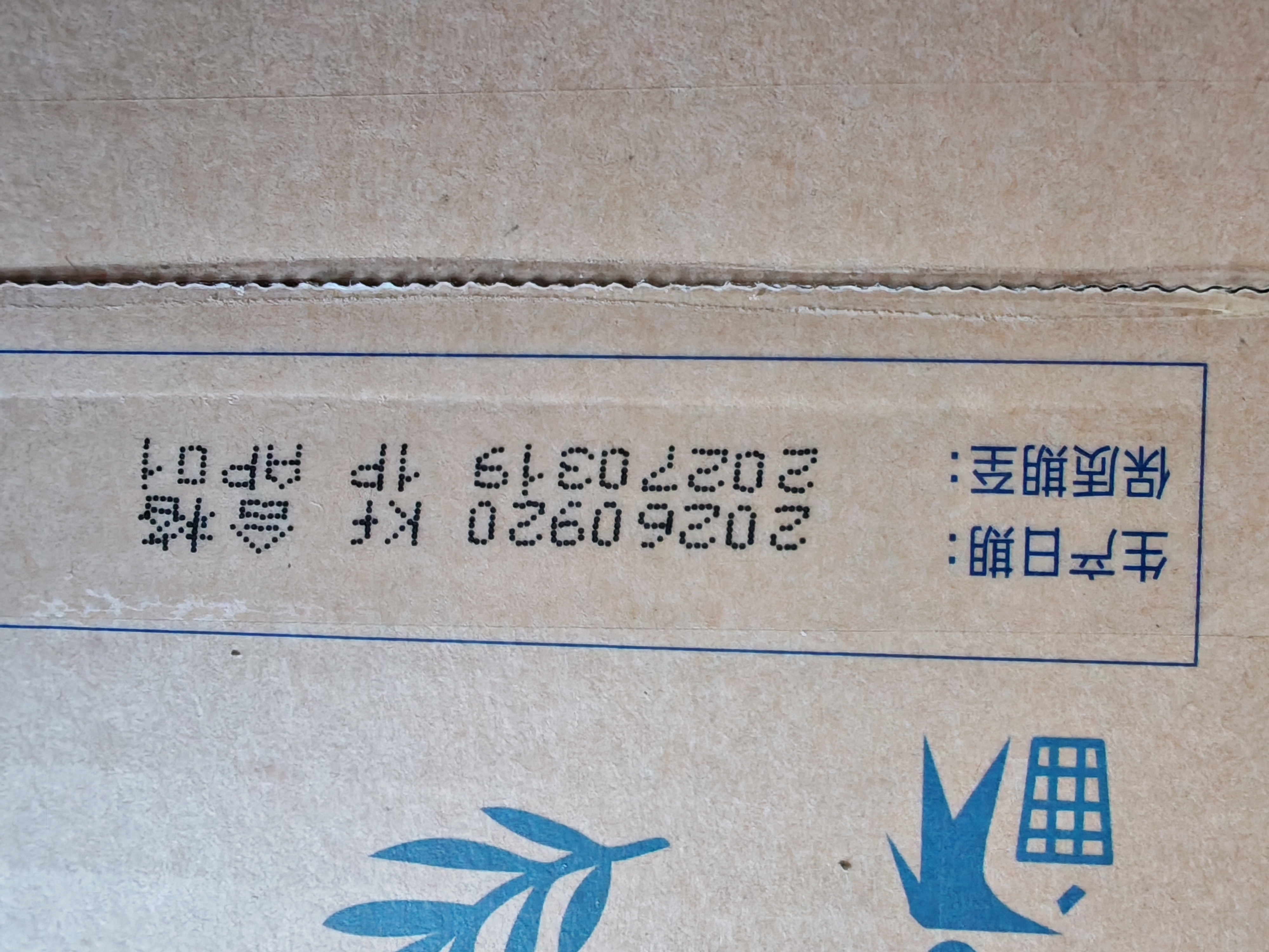 蒙牛特仑苏低脂纯牛奶250ml×16盒 3.6g蛋白 健身减脂 送礼礼盒 实拍图