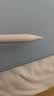 Apple/苹果 Pencil(USB-C) 磁吸触控笔手写笔苹果笔电容笔iPad笔 适用iPad(A16)/mini/Pro/Air 实拍图