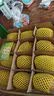佳沛（zespri）绿奇异果特大果22-25个原箱装单果约135-176g 猕猴桃 水果 实拍图