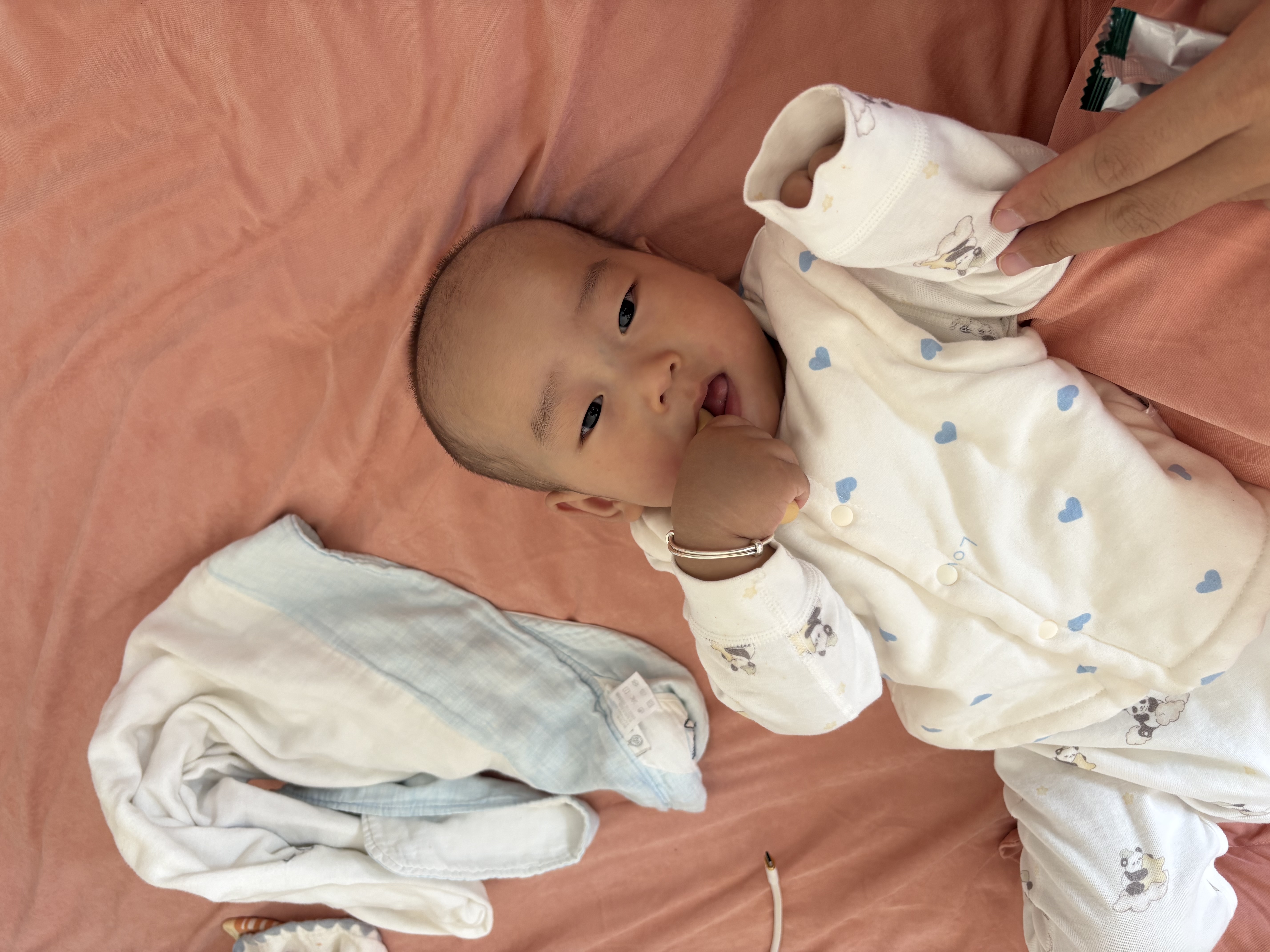 英氏婴幼儿磨牙棒宝宝婴儿零食6个月以上口欲期高钙出牙磨牙饼干64g 实拍图