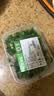 【免洗净菜】小葱香菜调味组合40g 实拍图