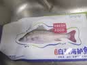 仙泉湖三去白蕉海鲈鱼400g/条净膛冷冻刺少肉厚特产海鲜水产生鲜食材 实拍图