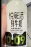 悦鲜活鲜牛奶 原生高钙鲜奶 450ml*3瓶 低温奶巴氏杀菌乳 实拍图