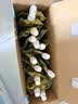 金豆芽金银花苹果汁儿童户外饮品便携小袋装解馋零食饮料100ml*13袋 实拍图