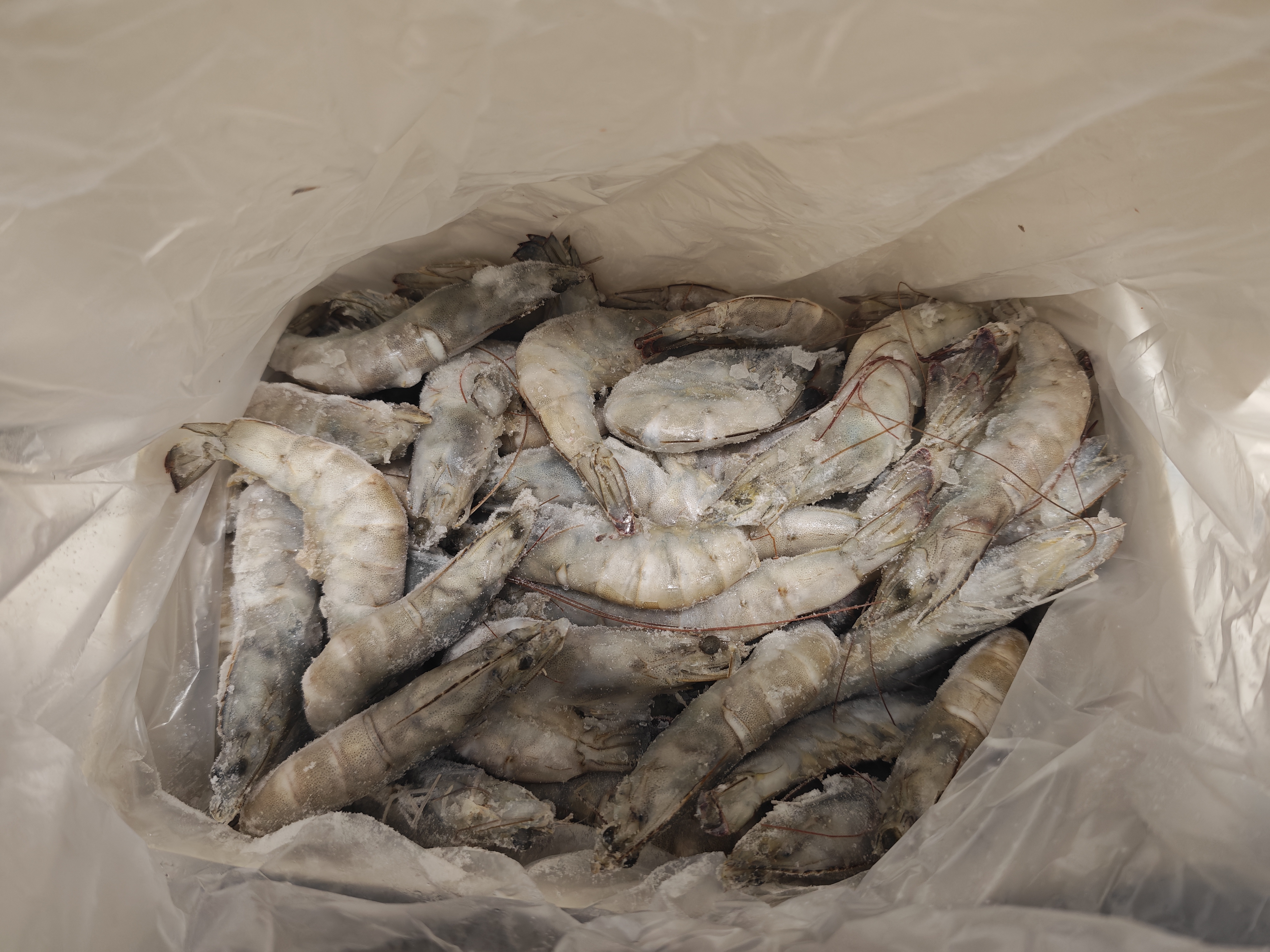 东上御品 国产盐冻大虾 白虾40/50规格 净重3斤 生鲜虾类-源头直发 实拍图