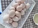 大码鲜鸡蛋1.8kg 实拍图