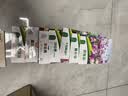 花沃里水培碗莲种子30粒*2 花卉种子荷花家庭盆栽鱼缸碗莲阳台办公庭院 实拍图
