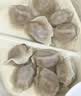 思念京东臻品虾仁水饺1kg50只蒸煎饺子夜宵儿童早餐速冻半成品速食 实拍图