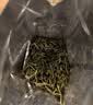 谢裕大绿茶黄山毛峰特级三等185g2026新茶雨前自饮口粮茶叶老茶客推荐 实拍图