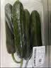 【水果菜】荷兰水果黄瓜约400g 实拍图