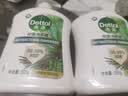 滴露（Dettol）洗手液液体经典松木500g+500g补充装儿童家庭护手替换 实拍图