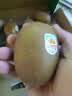 佳沛（zespri）新西兰金奇异果10粒巨大果146-175g猕猴桃水果礼盒 实拍图