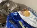 FARMINA PET FOODS法米娜减肥猫粮鲱鱼甜橙绝育成猫粮5kg-27年2月起 实拍图