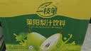 一枝笔莱阳梨汁310ml*20罐山东莱阳梨汁果蔬汁饮品一枝笔饮料 实拍图