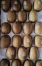 佳沛（zespri）新西兰 金奇异果特大果15粒134-146g猕猴桃水果礼盒 实拍图