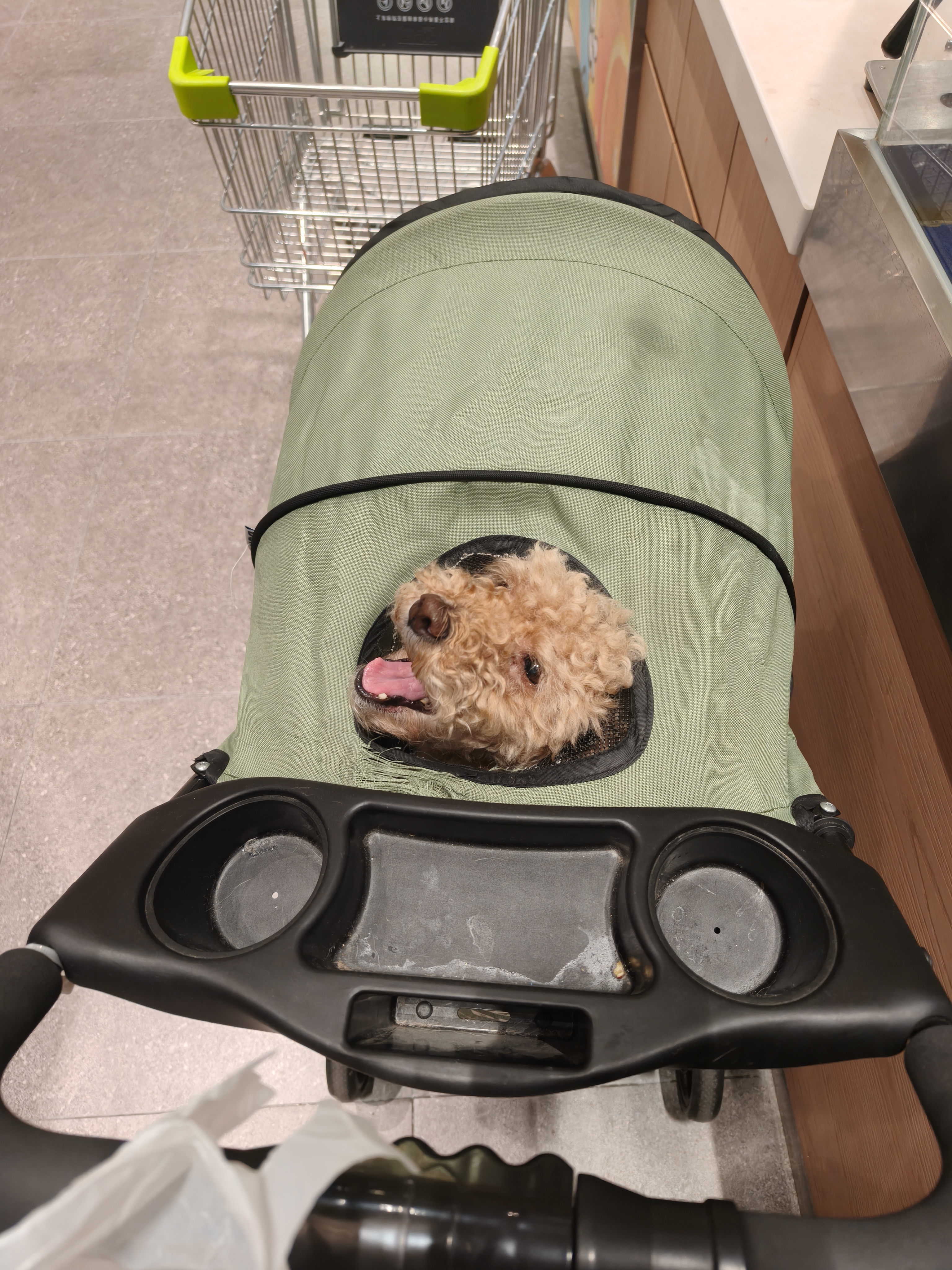 宝路狗粮老年犬狗粮 7岁以上牛肉味1.8kg全犬种通用老年犬狗粮全价粮 实拍图