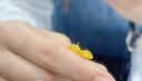 中国黄金（CHINA GOLD）18K金小方糖耳钉女款直针款养耳洞耳饰双十一生日礼物送女友爱人 18K金小方糖耳钉 约0.45g 实拍图