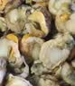 鲜项大号冷冻带黄扇贝肉净重2斤约80-120粒烧烤火锅食材海鲜生鲜送礼 实拍图