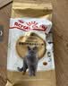 皇家猫粮 英短成猫粮 BS34 通用粮 12月以上 10KG 实拍图