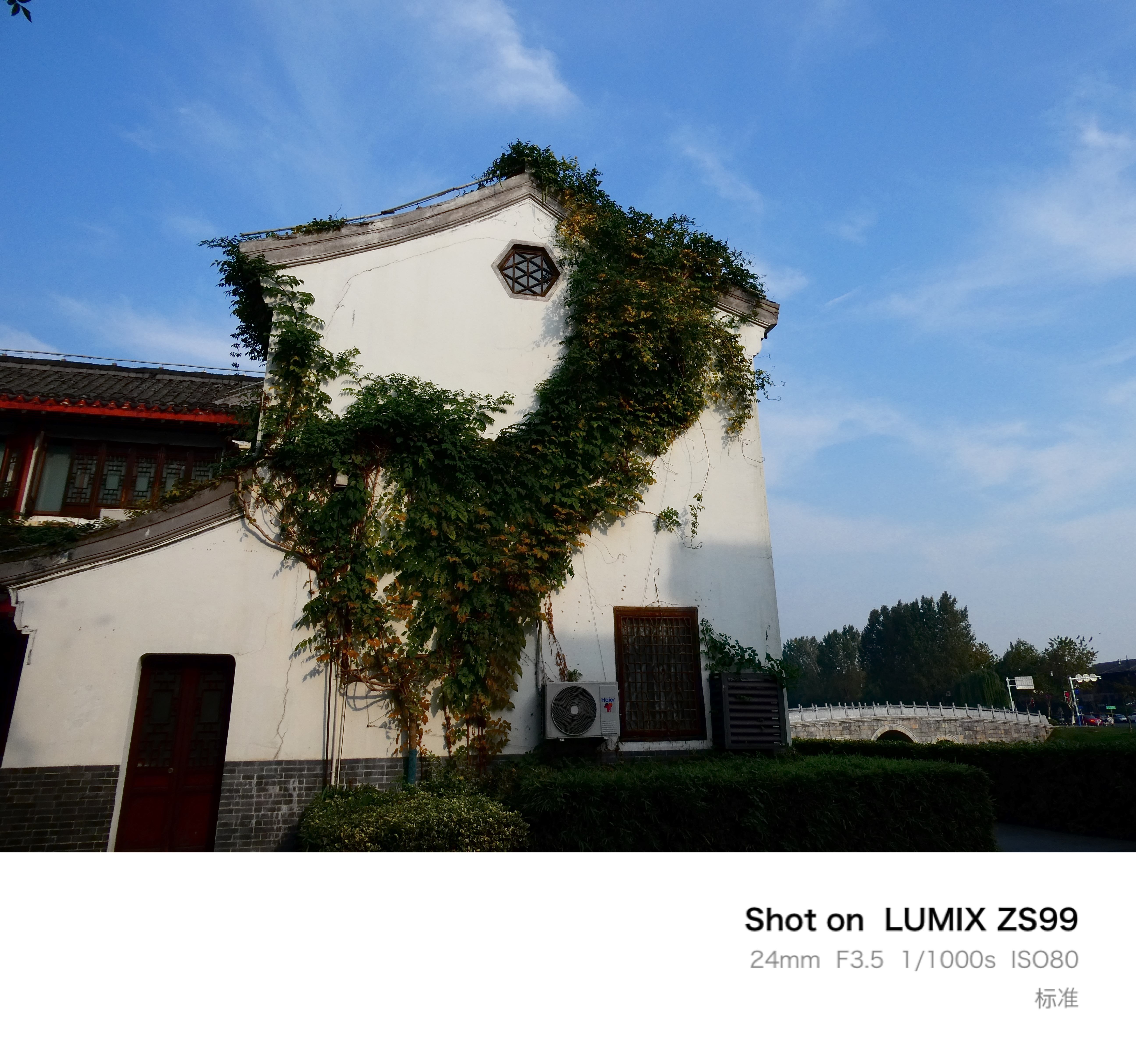 松下【12期免息】ZS99（Panasonic）便携式长焦数码口袋相机 4K视频 2030万像素 322g 旅行演唱会-银色 实拍图