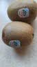 佳沛（zespri）绿奇异果特大果22-25个原箱装单果约135-176g 猕猴桃 水果 实拍图